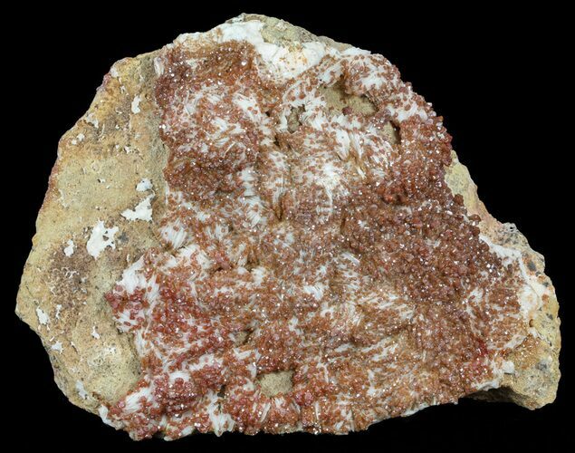 Plate Of Ruby Red Vanadinite Crystals on Barite - Morocco #61180
